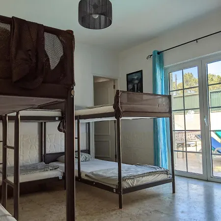 Dolphin House Hostel *