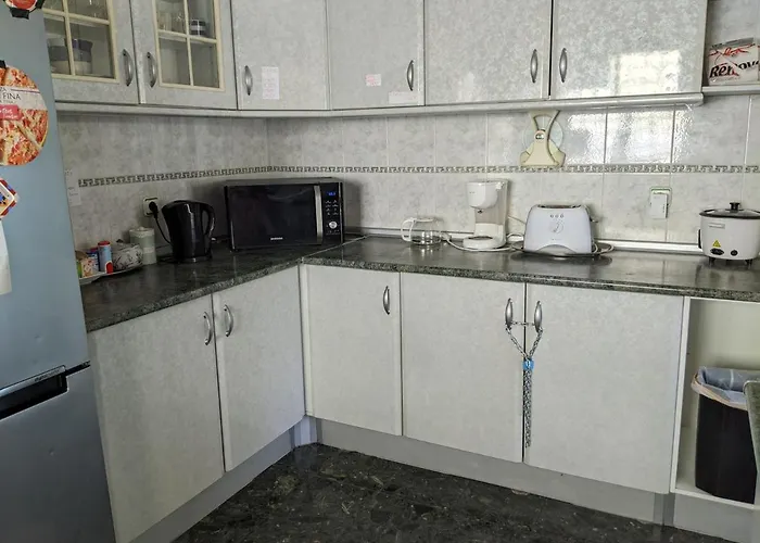 Dolphin House Hostel