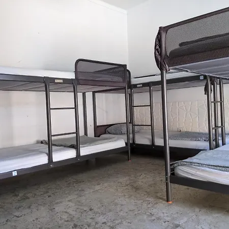 Dolphin House Albergue *