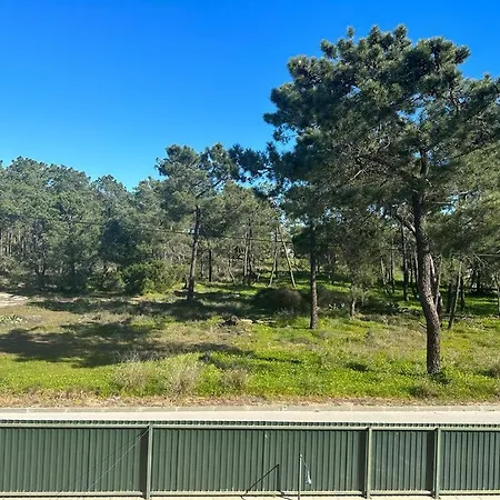 Dolphin House * Dystrykt Faro