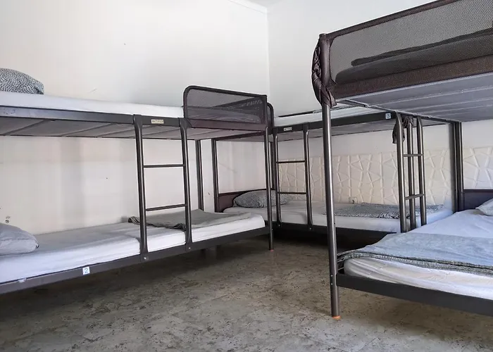 Dolphin House Hostel *