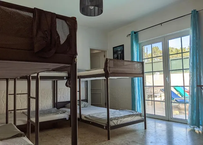 Dolphin House Hostel *