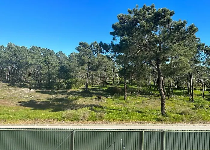 Dolphin House * Distrikt Faro